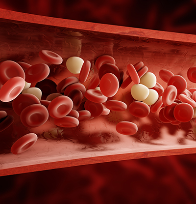 Red Cells - Tissue Regeneration